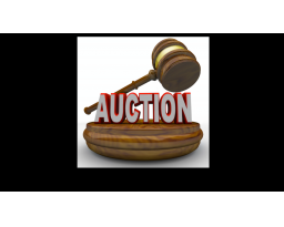 Anthony Auctions