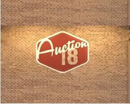 Auction 18 LLC