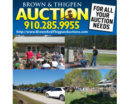 Brown & Thigpen Auctions, LLC