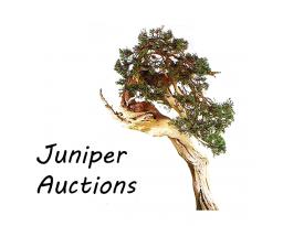 Juniper Auctions