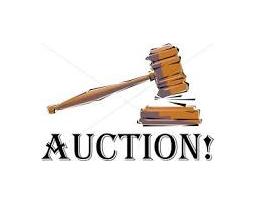 Joshua Young Auctions