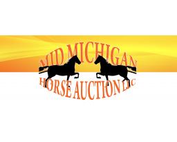 Mid Michigan Horse Auction LLC