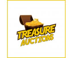 TREASURE AUCTIONS LLC