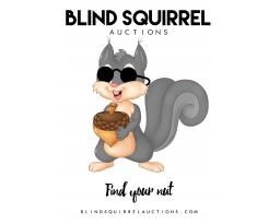 Blind Squirrel Auctions