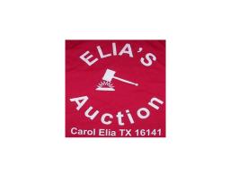 Elia's Auction