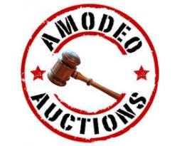 Michael Amodeo & Co., Inc. Auctioneers