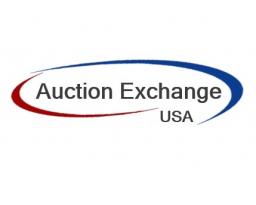 Auction Exchange USA LLC