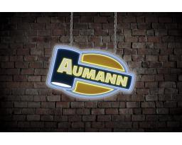 Aumann Auctions, Inc.