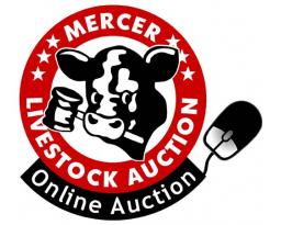 MERCER LIVESTOCK AUCTION