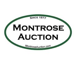 Montrose Auction Inc