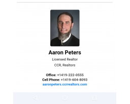 Peters Auctioneers