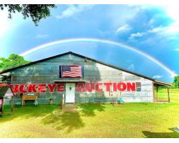 Buckeye Auction 