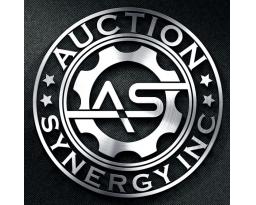 Auction Synergy