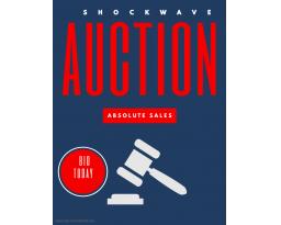 Shockwave Auctions