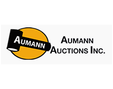 Aumann Auctions