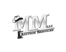 MM Auction Services, LLC