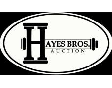 Hayes Brothers Auction 