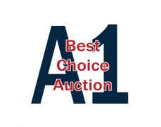 A-1 Best Choice Auction