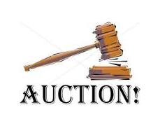 Joshua Young Auctions