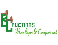 BC Auctions