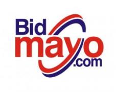 Mayo Auction and Realty