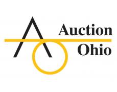 8 Memory lane LLC/ Auction Ohio