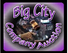 Big City Auctions Inc