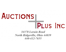 Auctions Plus, Inc