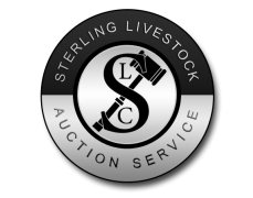 STERLING LIVESTOCK AUCTION SERVICE