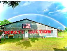 Buckeye Auction 
