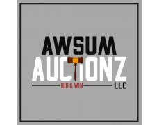 Awsum Auctionz LLC