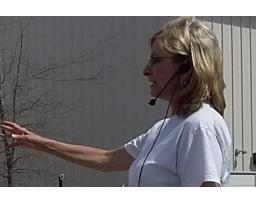 Gate City Auction